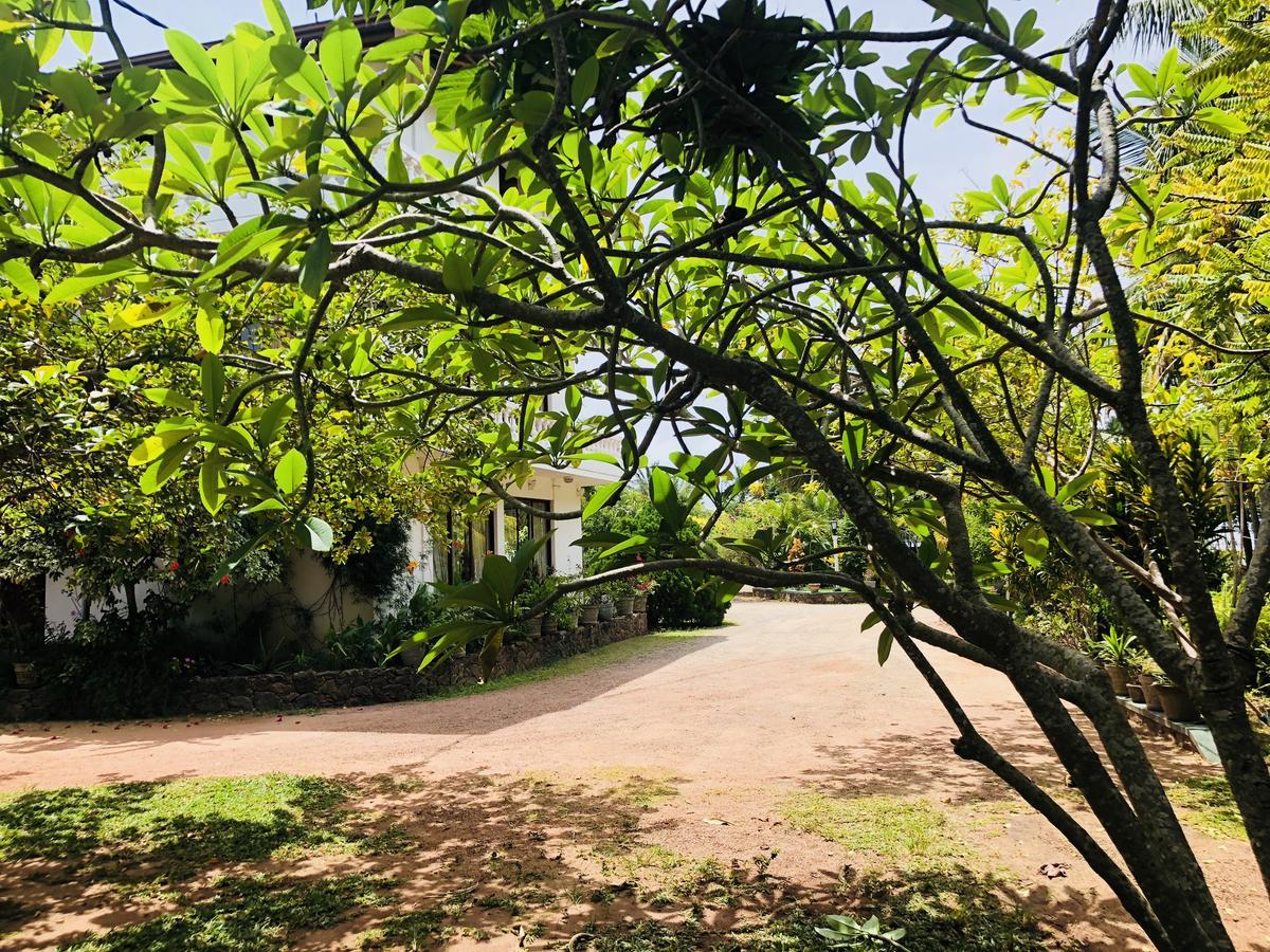 Hotel Lagoon Paradise Negombo Exterior foto